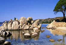 哪里有最体育直播免费看？这些渠道和注意事项要了解！